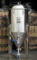 SS Brewing Technologies 1/2 Barrel Chronical Conical Fermenter